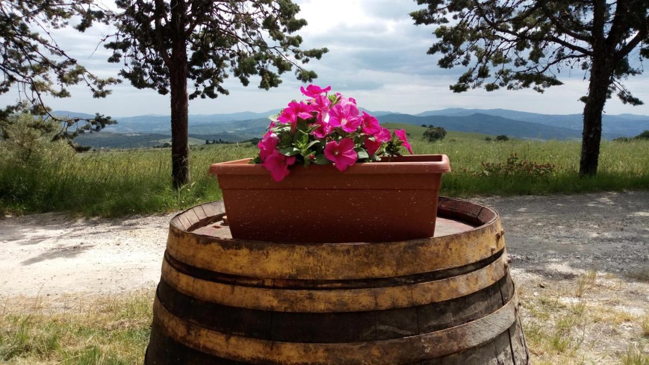 La Pecora Verde San Gimignano Exterior photo